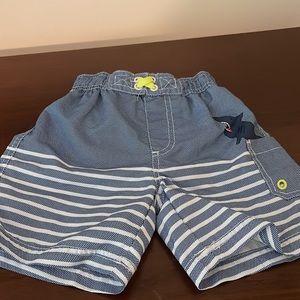 Swim trunks with shark